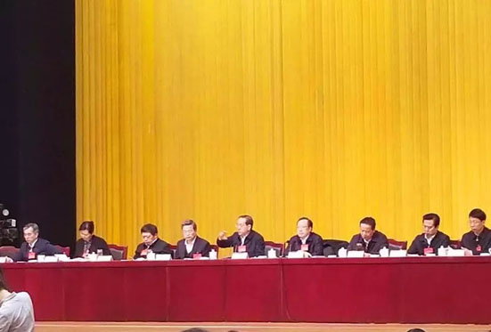 工商会长程阿罗出席湖北省经济工作会议